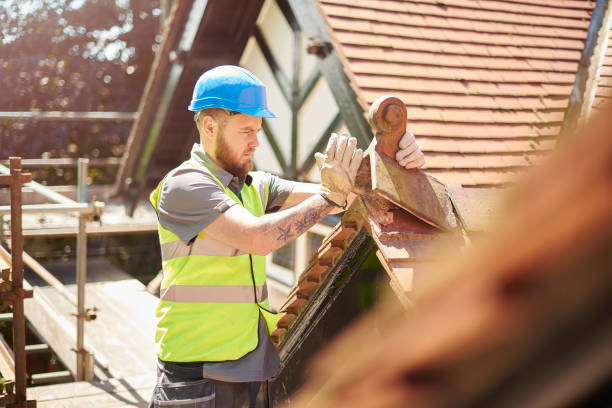 Roof Gutter Cleaning in Acushnet Center, MA